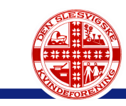 Den Slesvigske Kvindeforeningen